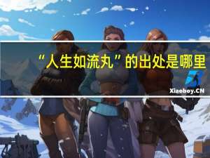 “人生如流丸”的出处是哪里