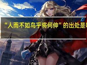 “人而不如鸟乎将何伸”的出处是哪里