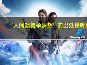 “人间起舞争清辉”的出处是哪里