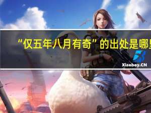 “仅五年八月有奇”的出处是哪里