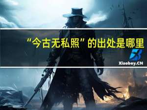“今古无私照”的出处是哪里
