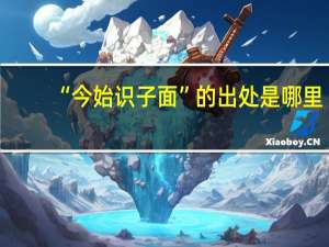 “今始识子面”的出处是哪里