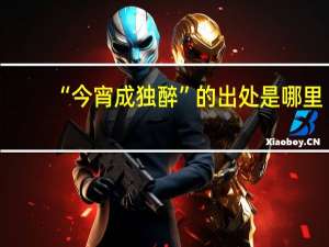 “今宵成独醉”的出处是哪里