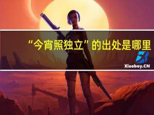 “今宵照独立”的出处是哪里