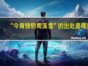 “今宵独钓南溪雪”的出处是哪里