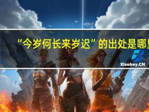 “今岁何长来岁迟”的出处是哪里