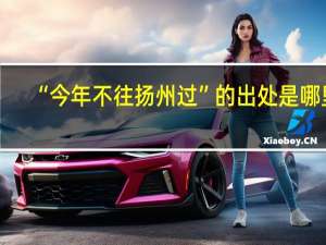 “今年不往扬州过”的出处是哪里