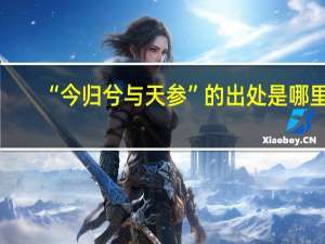 “今归兮与天参”的出处是哪里