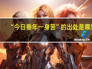 “今日垂年一身苦”的出处是哪里