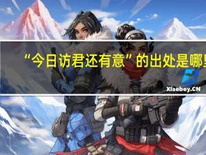 “今日访君还有意”的出处是哪里