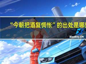 “今朝把酒复惆怅”的出处是哪里