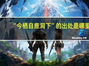 “今栖自鹿洞下”的出处是哪里