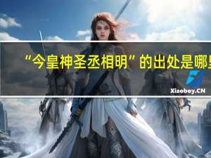 “今皇神圣丞相明”的出处是哪里