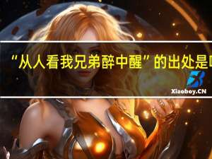 “从人看我兄弟醉中醒”的出处是哪里