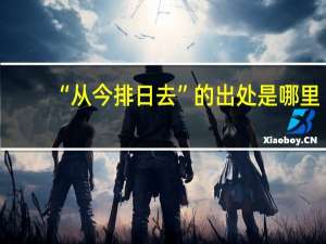 “从今排日去”的出处是哪里