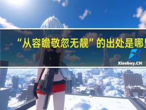 “从容瞻敬忽无靓”的出处是哪里