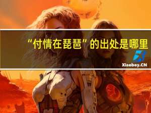 “付情在琵琶”的出处是哪里