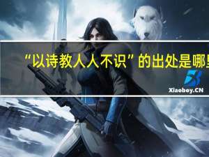 “以诗教人人不识”的出处是哪里