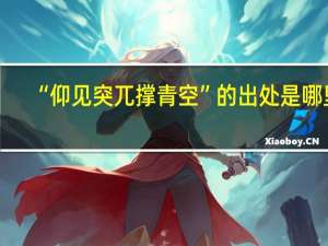 “仰见突兀撑青空”的出处是哪里