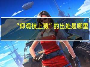 “仰观枝上猿”的出处是哪里