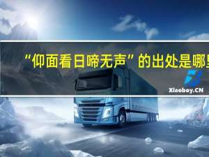 “仰面看日啼无声”的出处是哪里