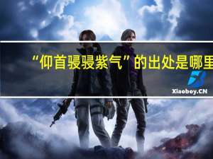 “仰首骎骎紫气”的出处是哪里