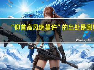 “仰首高风继巢许”的出处是哪里