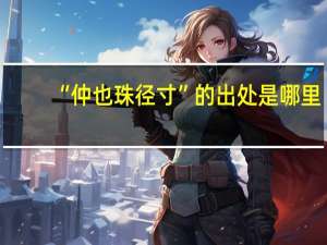 “仲也珠径寸”的出处是哪里