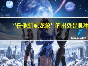 “任他虮虱龙象”的出处是哪里