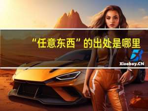 “任意东西”的出处是哪里