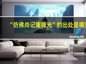 “仿佛尚记重瞳光”的出处是哪里
