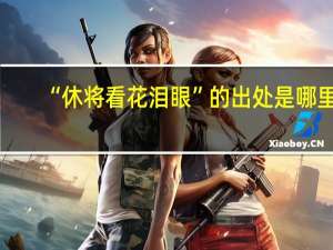 “休将看花泪眼”的出处是哪里