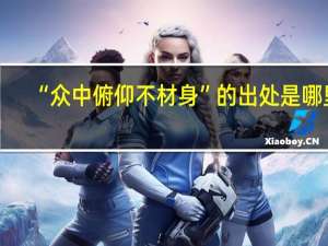 “众中俯仰不材身”的出处是哪里