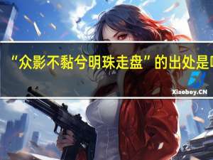 “众影不黏兮明珠走盘”的出处是哪里