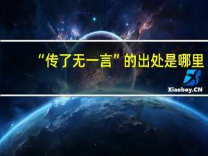 “传了无一言”的出处是哪里