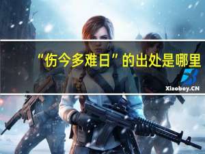 “伤今多难日”的出处是哪里