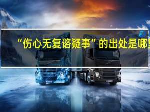 “伤心无复谘疑事”的出处是哪里