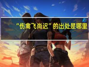 “伤禽飞尚迟”的出处是哪里