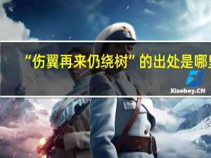 “伤翼再来仍绕树”的出处是哪里