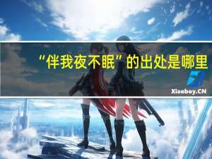 “伴我夜不眠”的出处是哪里