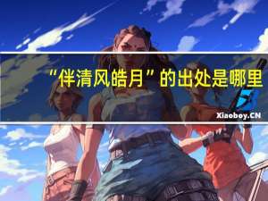 “伴清风皓月”的出处是哪里
