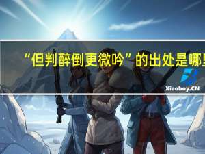 “但判醉倒更微吟”的出处是哪里