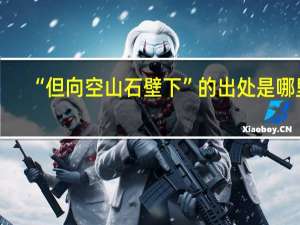 “但向空山石壁下”的出处是哪里