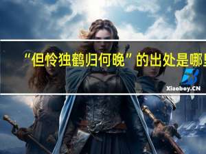 “但怜独鹤归何晚”的出处是哪里