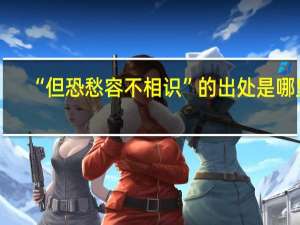 “但恐愁容不相识”的出处是哪里