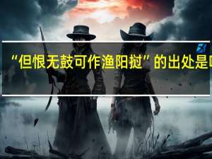 “但恨无鼓可作渔阳挝”的出处是哪里