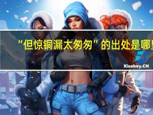 “但惊铜漏太匆匆”的出处是哪里