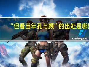 “但看当年孔与颜”的出处是哪里