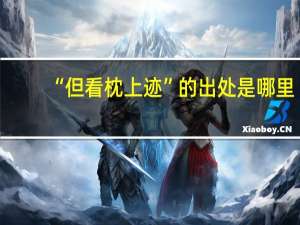 “但看枕上迹”的出处是哪里