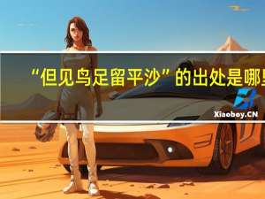 “但见鸟足留平沙”的出处是哪里